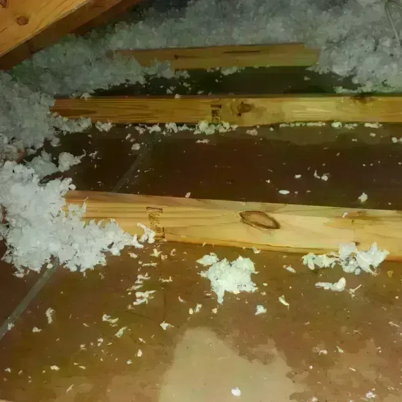 Attic Water Damage in Wellsville, OH